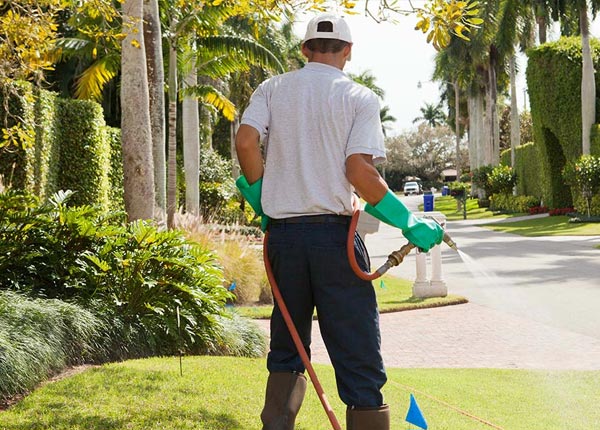 About Tamaroa IL Pest Control Pros